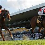 what is a duet bet in horse racing